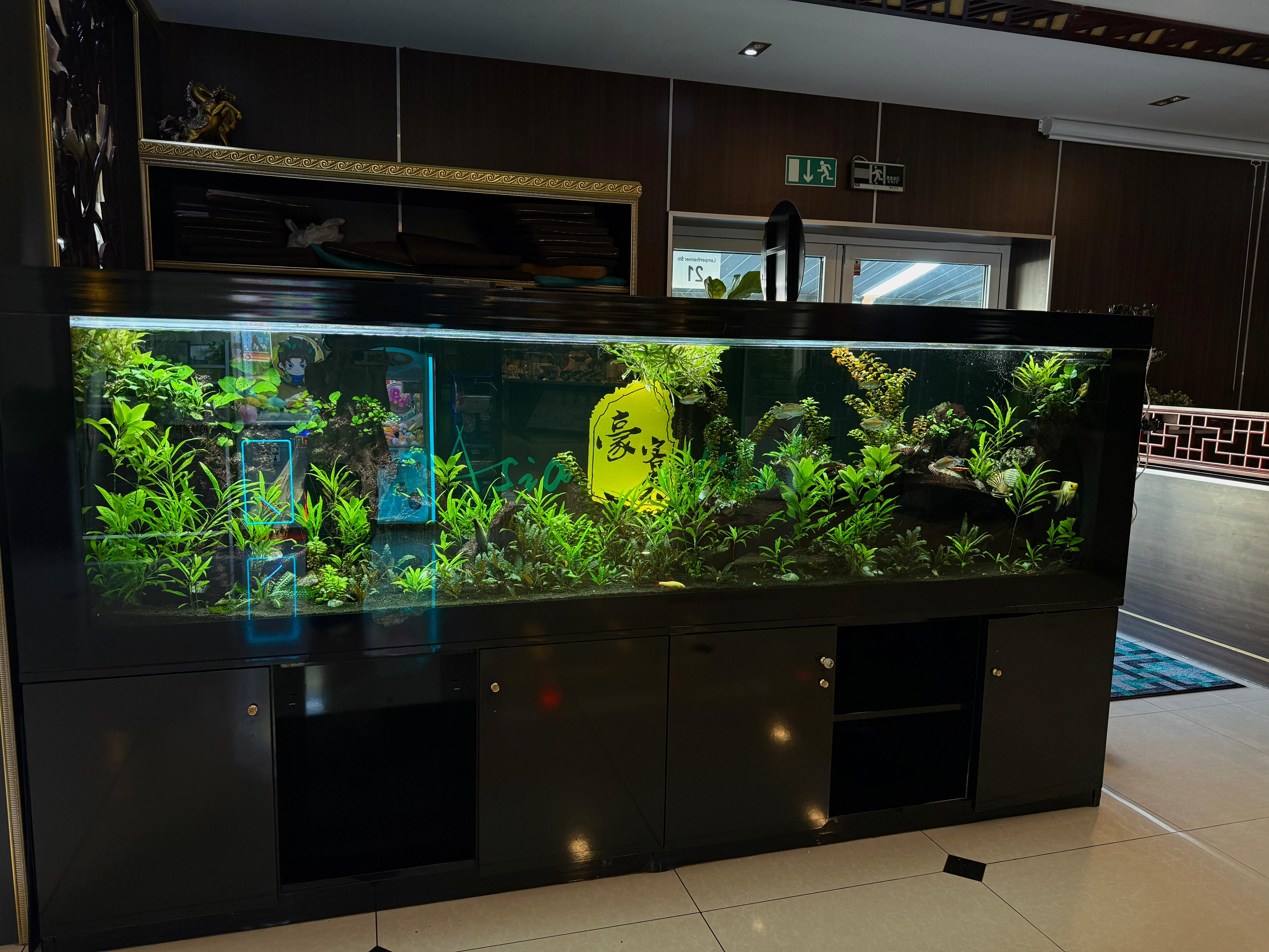 Großes Aquarium